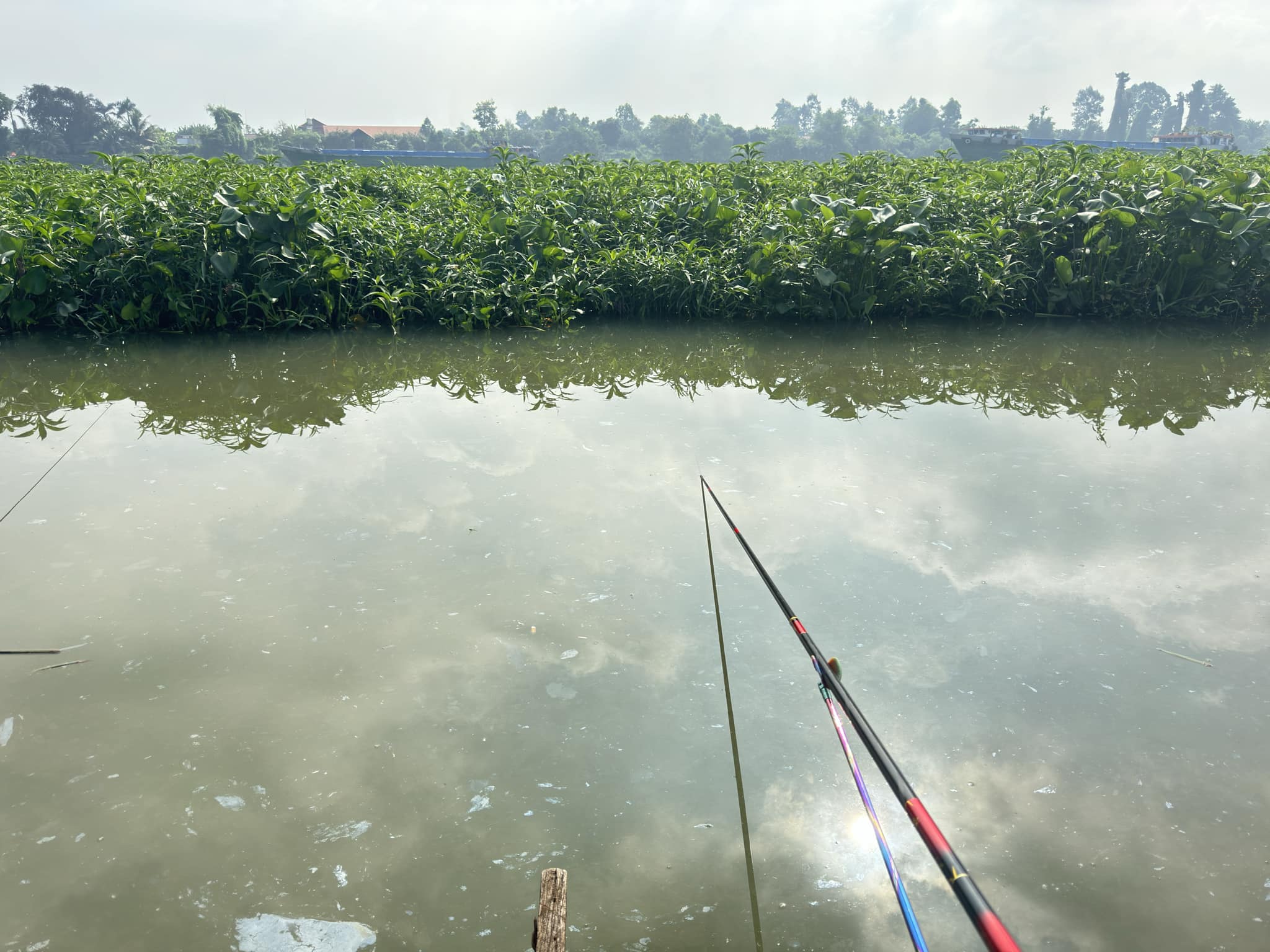 Cần Handing Nhẫn xuất hiện cùng Huỳnh Nhàn Fishing khi đi câu sông